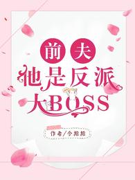 前夫他是反派大BOSS