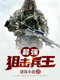 最强狙击兵王