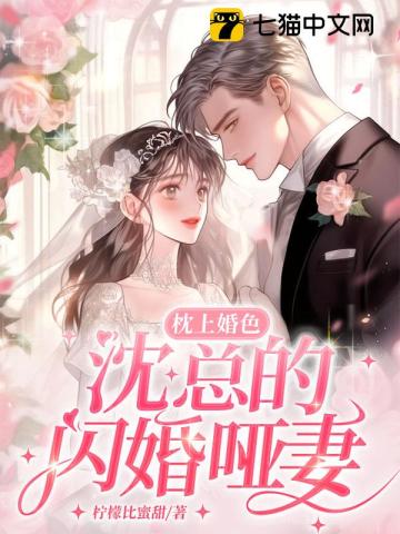 枕上婚色沈总的闪婚哑妻温暖沈知礼